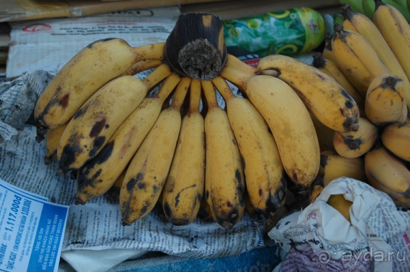 Старой доброй Ясаке,"наступают на пятки" современные отели.