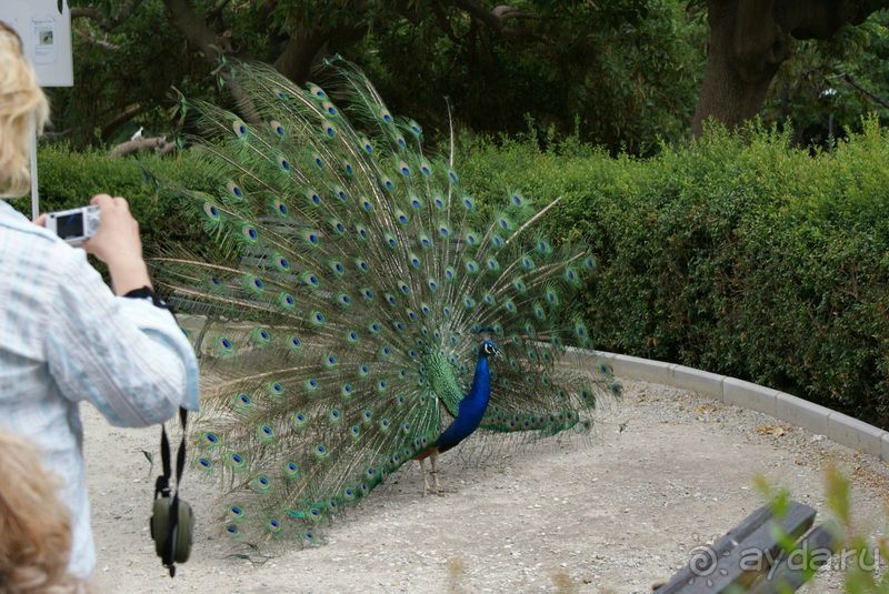 Бенальмадена