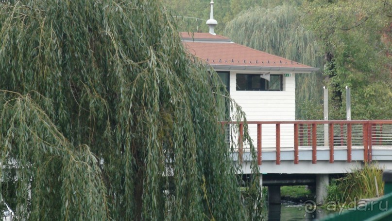 Озеро Хевиз- Венгерское чудо