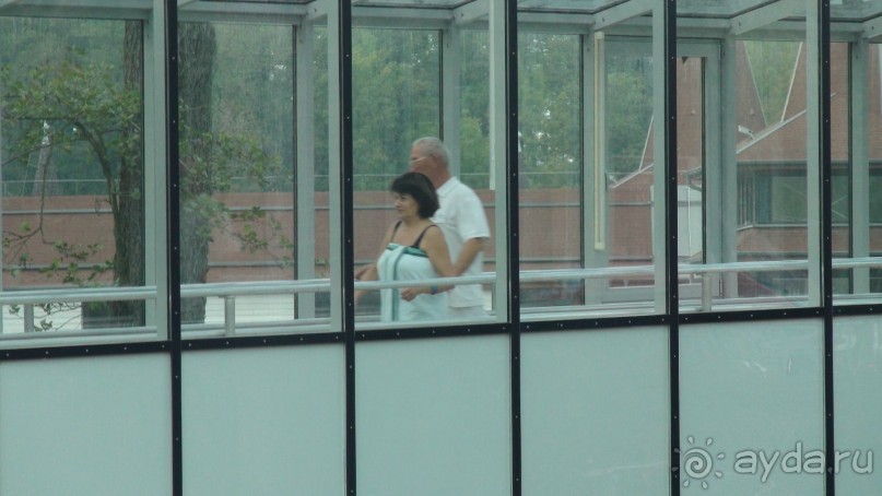 Озеро Хевиз- Венгерское чудо