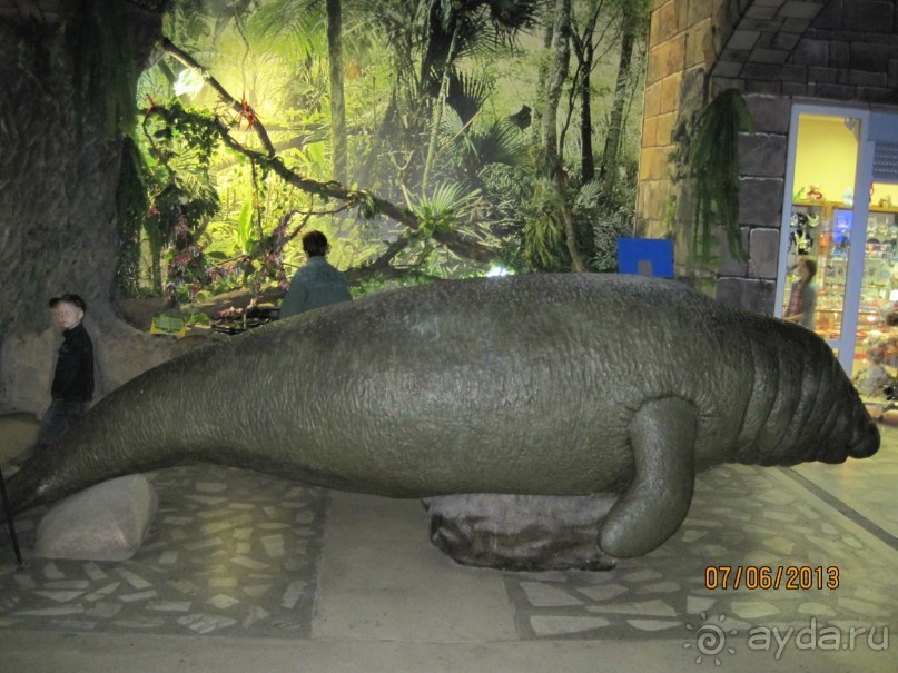 Отель Акфес Сейо не просто НЕ стандартный отель, а просто вообще - НЕ отель!  