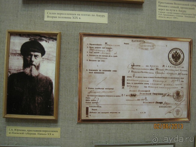 Всё в одном флаконе. От истории Края до коллекции бабочек и рыб