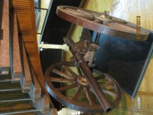 Всё в одном флаконе. От истории Края до коллекции бабочек и рыб