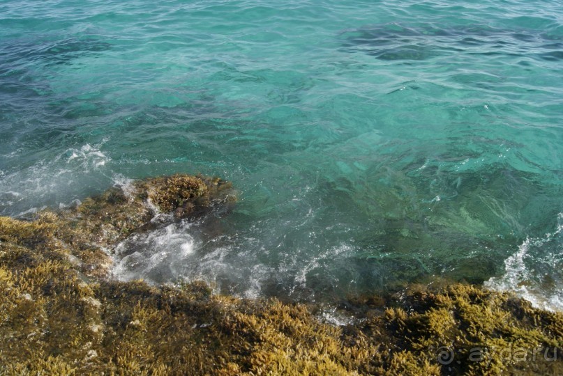 фото Margadina Hotel