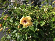 фото Ramada Plaza Marco Polo