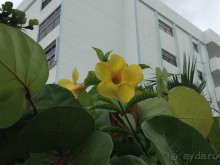 фото Ramada Plaza Marco Polo