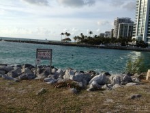 фото Ramada Plaza Marco Polo