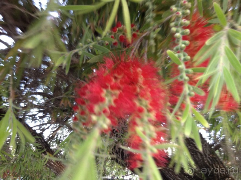 Просто рай на земле по цене сидения дома