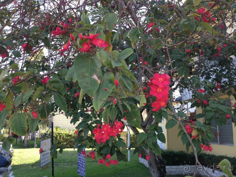 Просто рай на земле по цене сидения дома