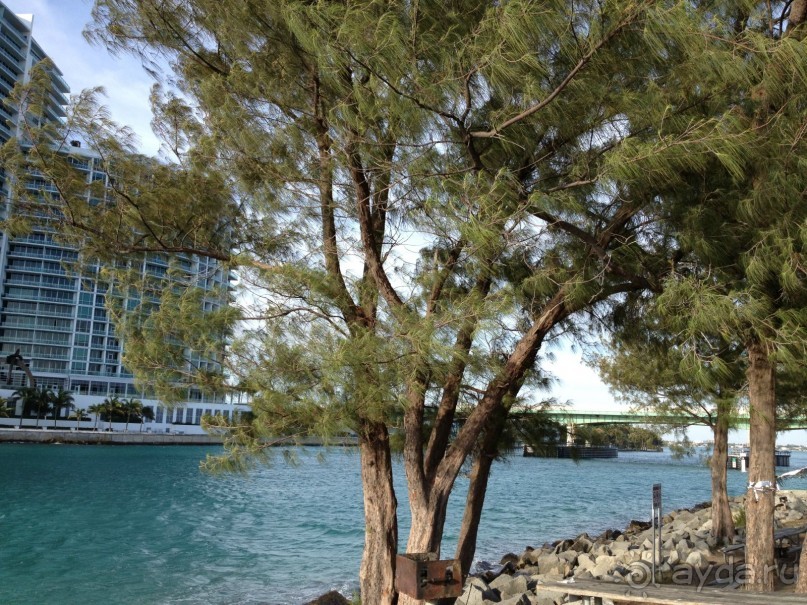 Просто рай на земле по цене сидения дома