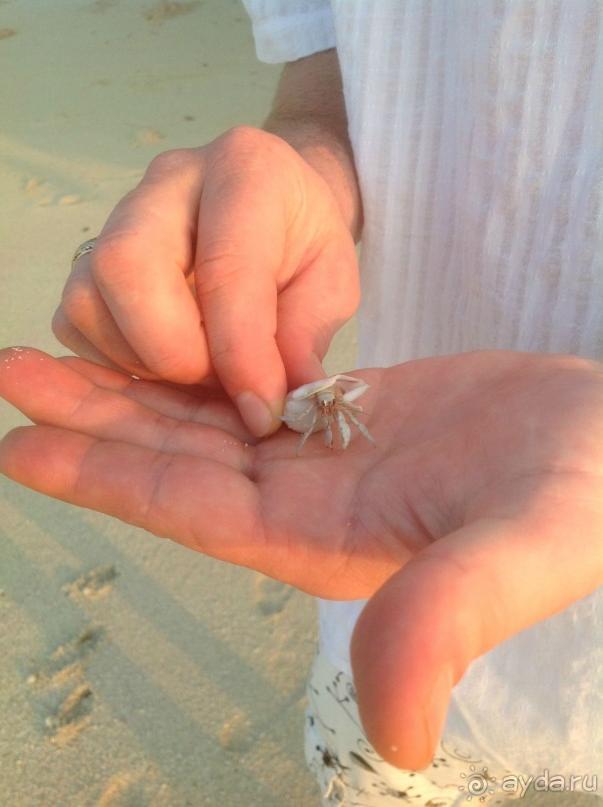 "Горящая" альтернатива)