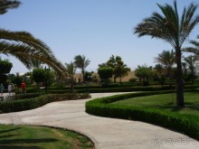 фото Desert Rose Resort