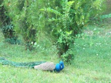 В принципе ничего, но второй раз я бы не поехала. Отдых для тех, кто любит спокойствие.