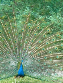 В принципе ничего, но второй раз я бы не поехала. Отдых для тех, кто любит спокойствие.