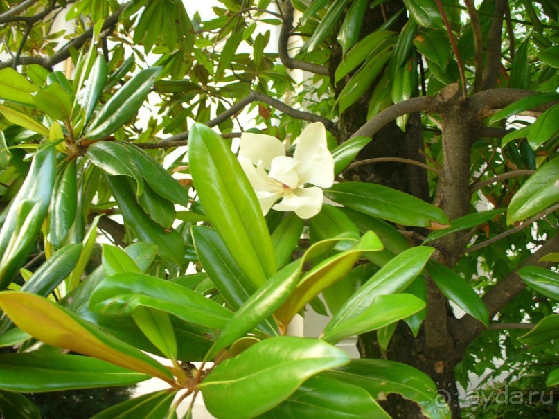 В принципе ничего, но второй раз я бы не поехала. Отдых для тех, кто любит спокойствие.