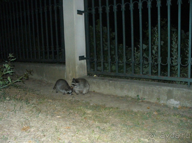 фото Seabel Rym Beach