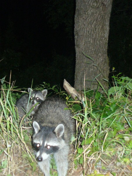 фото Seabel Rym Beach
