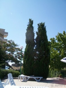 территория