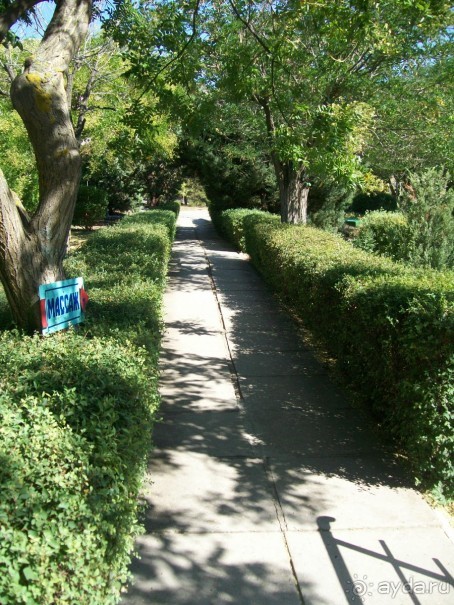 Территория