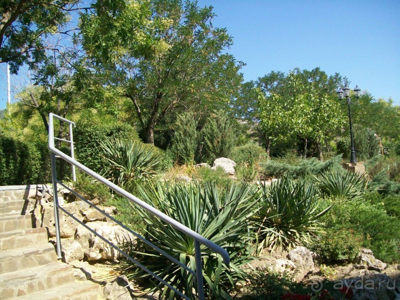 территория