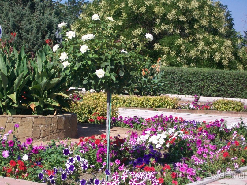 Территроия 