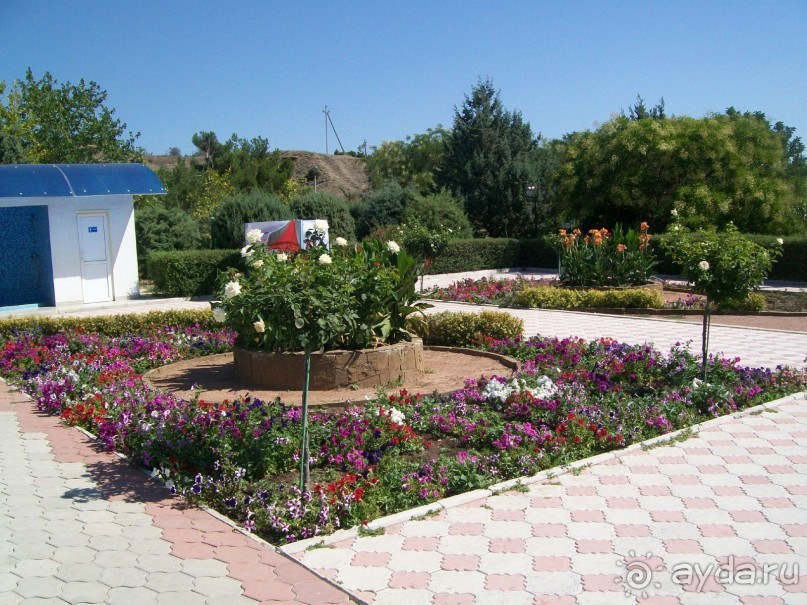 территория