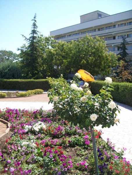 Территория