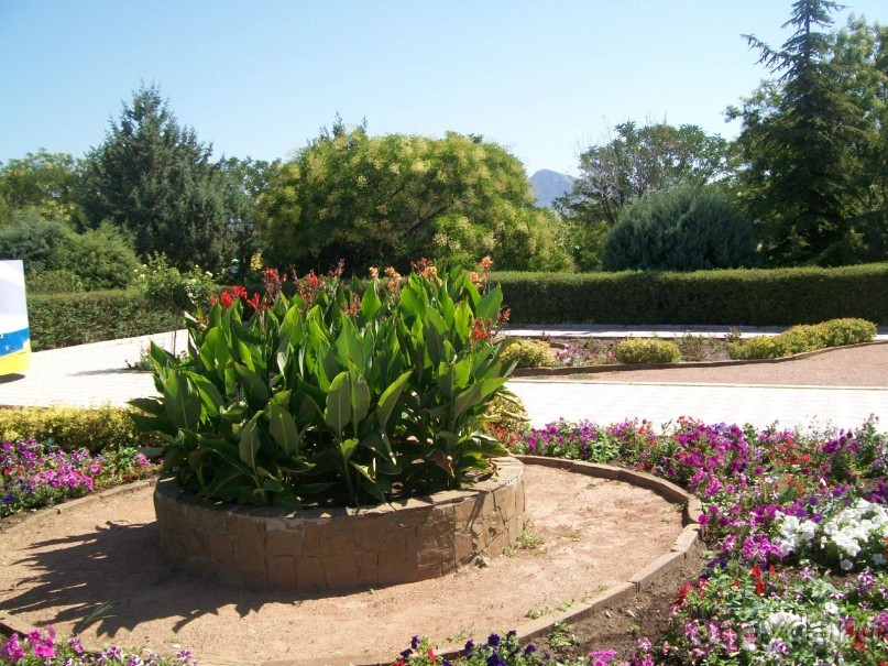 территория