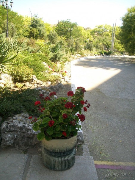 территория