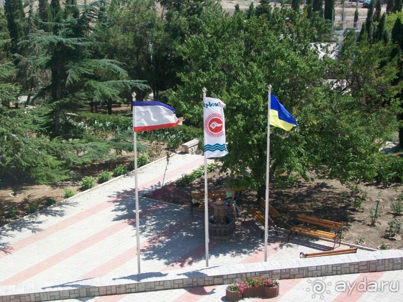 территория