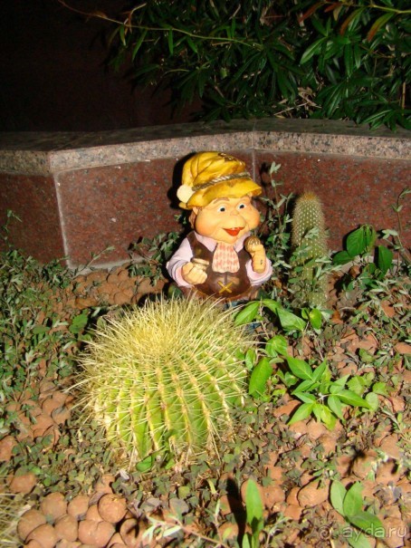 фото Виктория