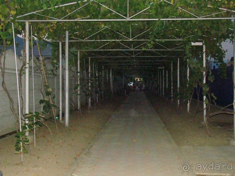 фото Виктория