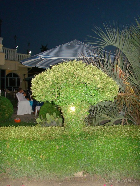 фото Виктория