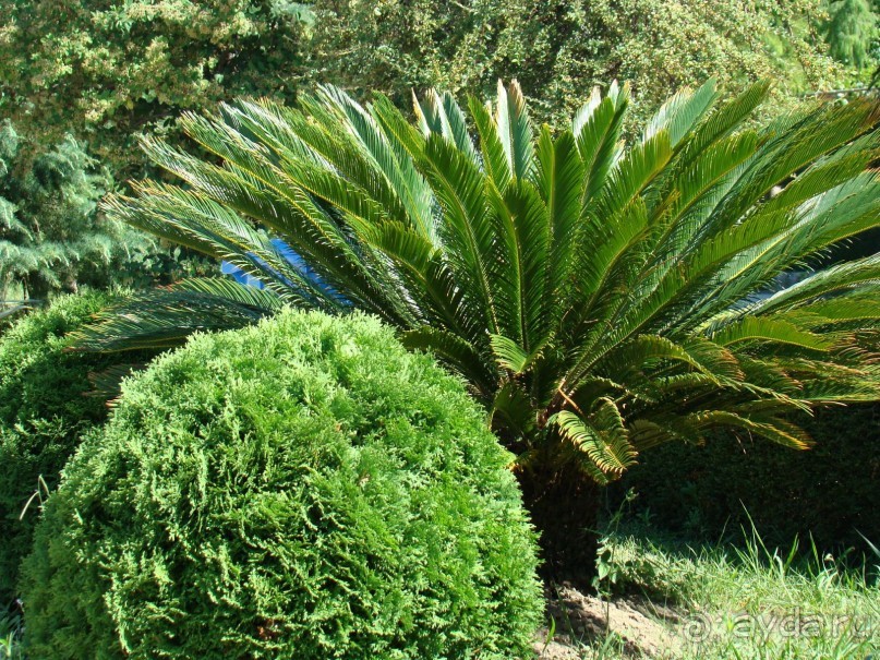 фото Виктория