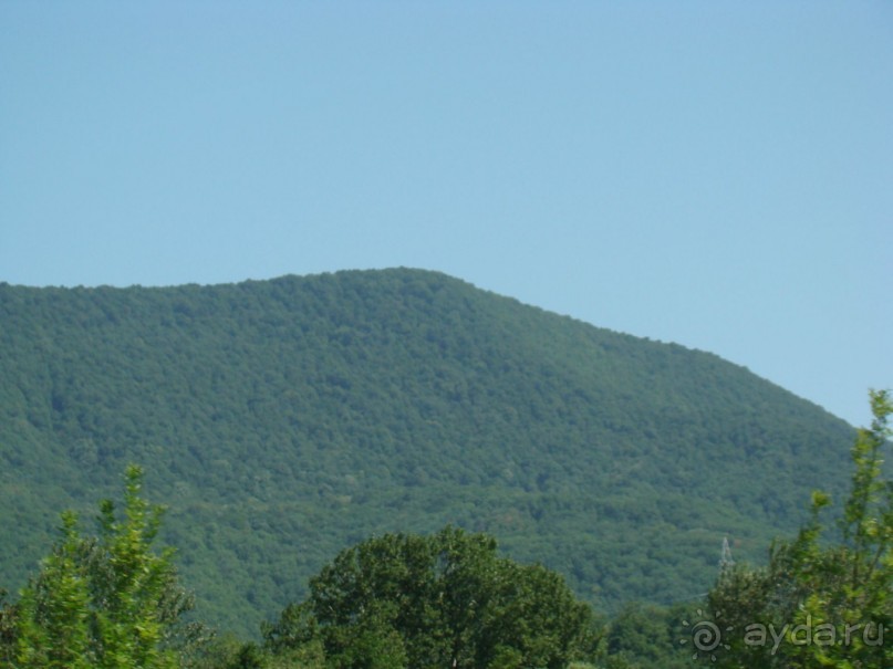 фото Виктория