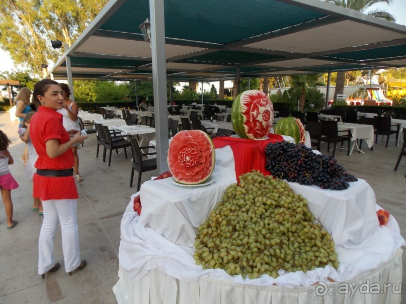 фото El Mouradi Douz