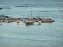 фото Dynastie