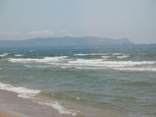 фото Селена