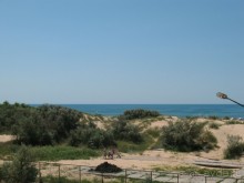 фото Селена