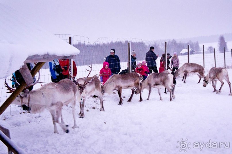 Рождество на семейном курорте БОМБА