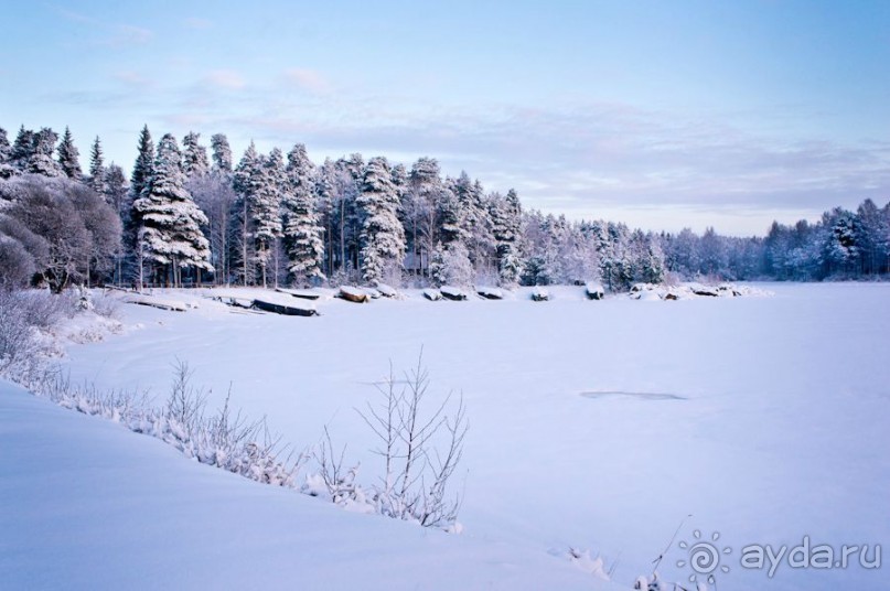 Рождество на семейном курорте БОМБА