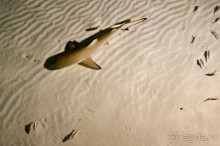 Отель хороший, но мы вернемся вряд ли 