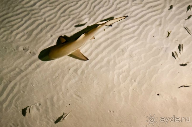 Отель хороший, но мы вернемся вряд ли 