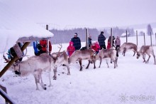 Рождество на семейном курорте БОМБА