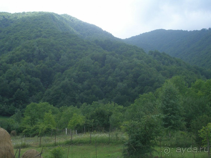 Армения!!! Горы, цветы, храмы, любовь!