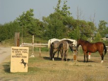 фото Sercotel Bahia de Vigo