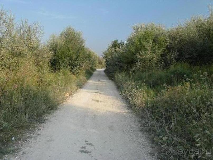 фото Sercotel Bahia de Vigo