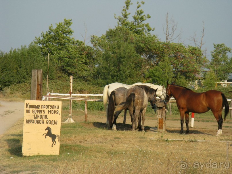 фото Sercotel Bahia de Vigo