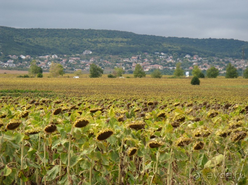фото Sercotel Bahia de Vigo