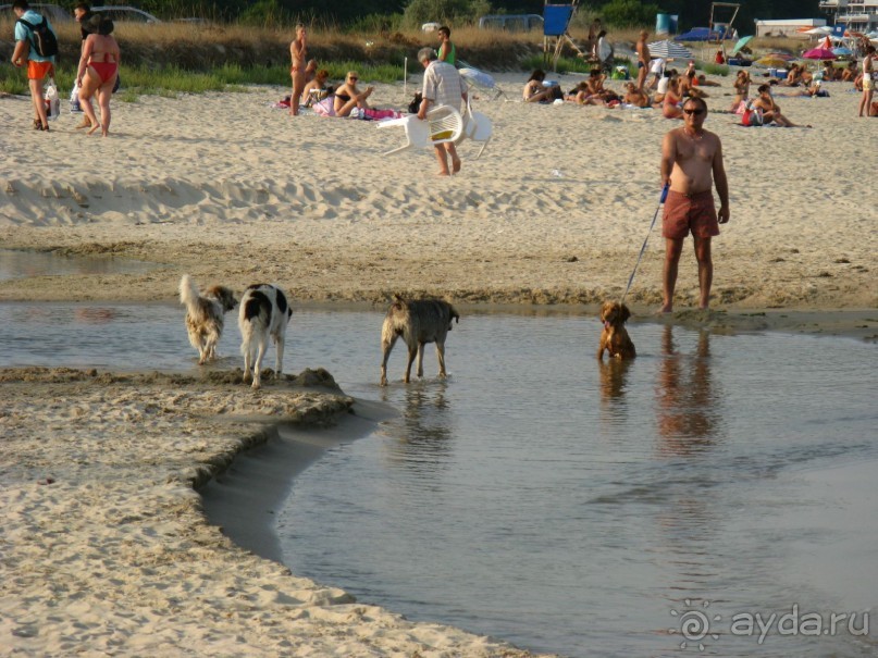 фото Sercotel Bahia de Vigo